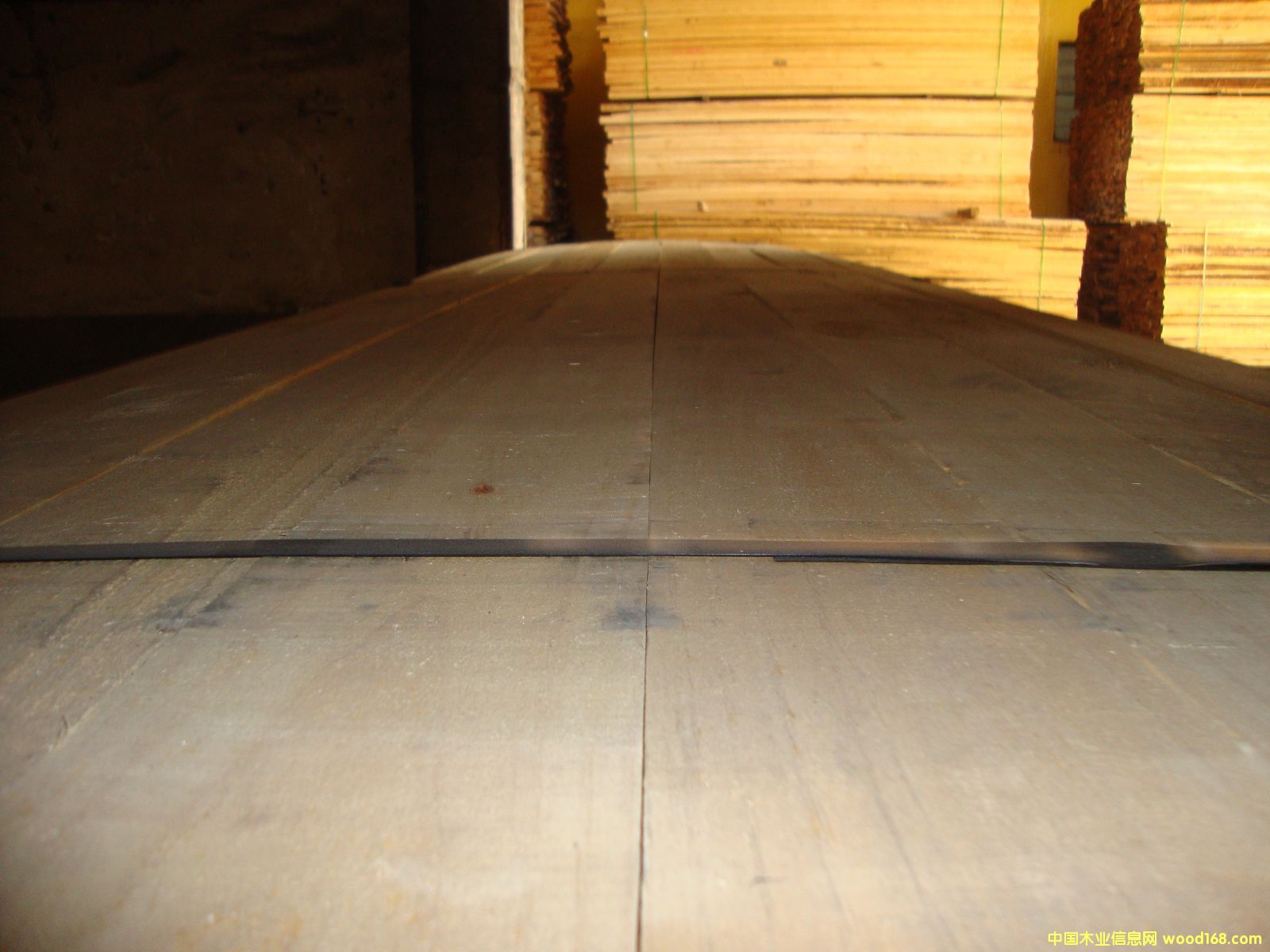 �M(j��n)��ݗ���� ���1.6cmë�� 