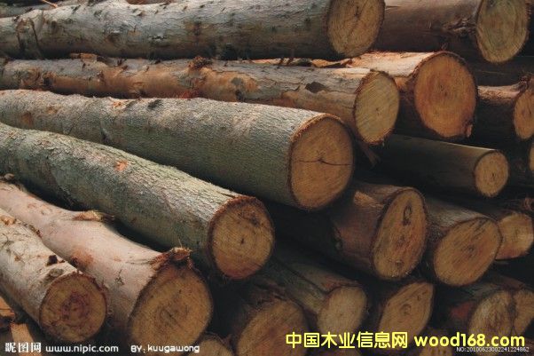 �sľ��Ԕ��(x��)��B