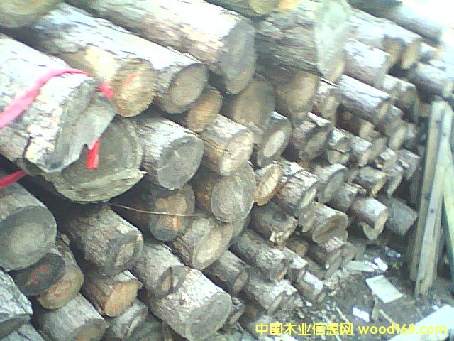 ľ�U��Ԕ��(x��)��B