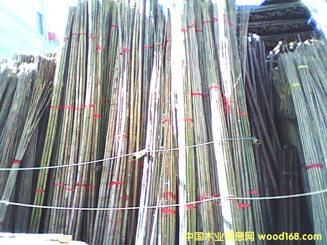 ��͵�Ԕ��(x��)��B