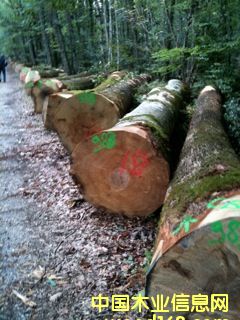 �W�ް���ľ��Ԕ����B