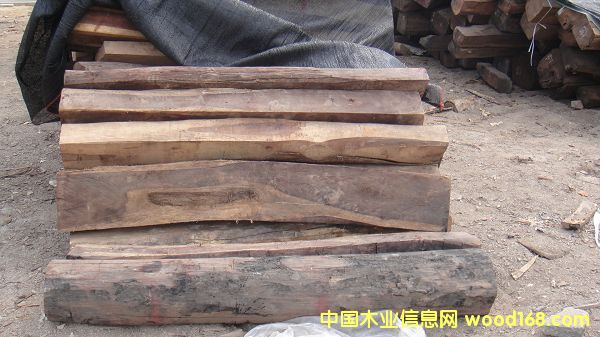 �t��֦2��Ԕ��(x��)��B