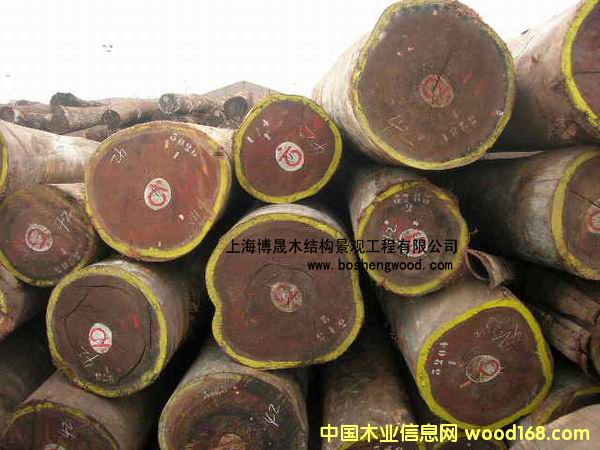 ����ľ��Ԕ��(x��)��B