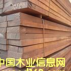 [��] ����(y��ng)���@�ַ���ľ������ľ��Ʒ�����}��ذ���
