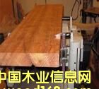 [��] ���l(f��)���������޲��}��