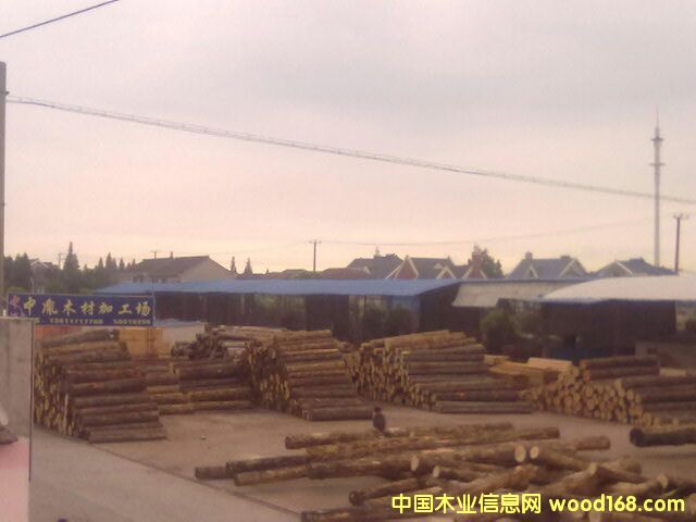 �Fɼ��Ԕ��(x��)��B