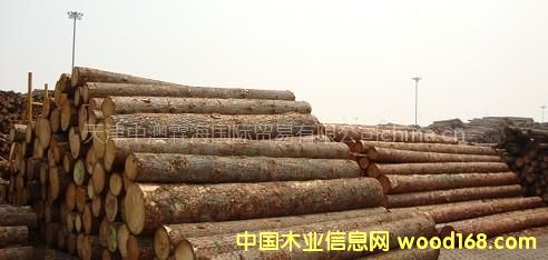 ����(y��ng)���l(f��)��(y��u)�|(zh��)���ɿ��ϵ�