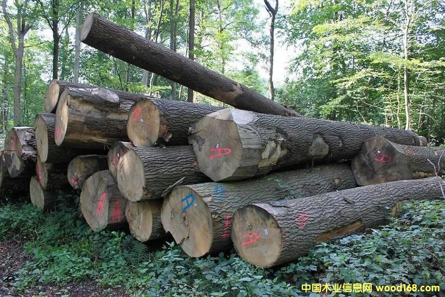 �c���鿴ˮ�����Ŵ�DƬ