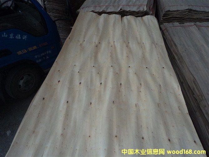 ��ľľƤ��Ԕ��(x��)��B