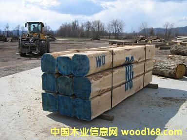 �c���鿴�M(j��n)�ڰ���ľ�ט�ľ�Ŵ�DƬ