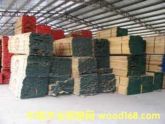 �c���鿴�M(j��n)�ڰ���ľ�ט�ľ�Ŵ�DƬ