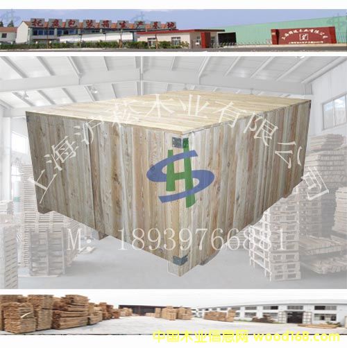 ��(sh��)ľ�M����b���Ԕ��(x��)��B