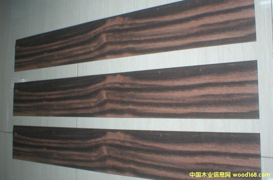 ��̴A��Ԕ��(x��)��B