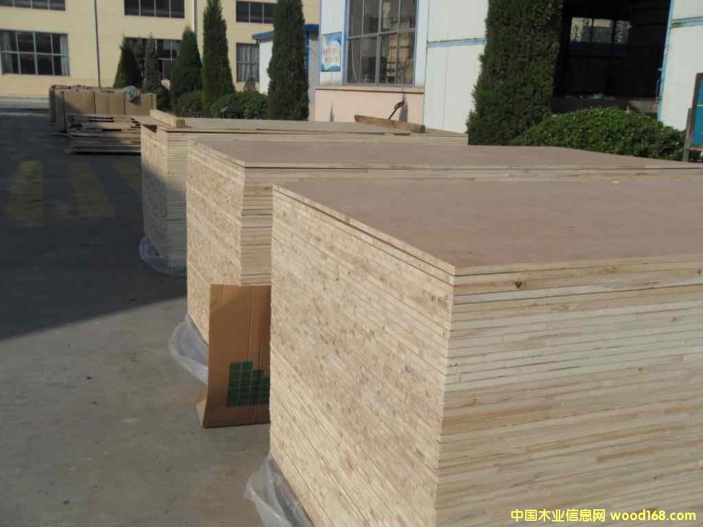 �������R����о��(x��)ľ��