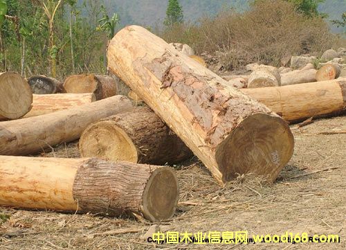 �uľ2��Ԕ��(x��)��B