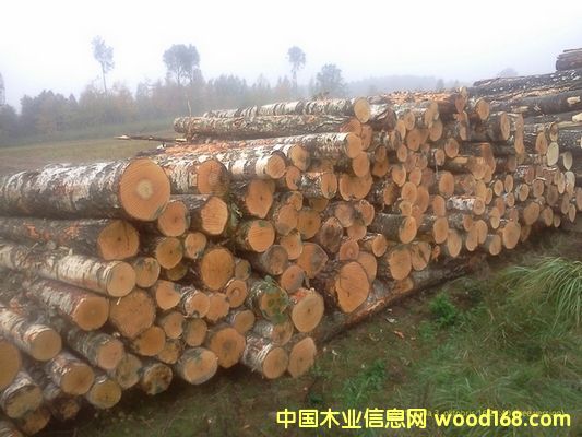 �������ľԭľ��Ԕ��(x��)��B