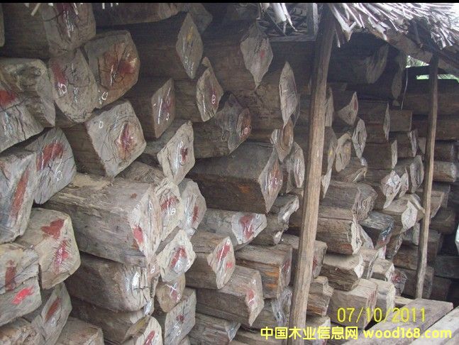 �R�_(d��)��˹���S̴������ɣ��������֦ ��Ԕ��(x��)��B