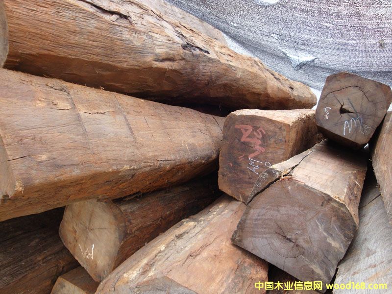 ��֦ľ��Ԕ��(x��)��B