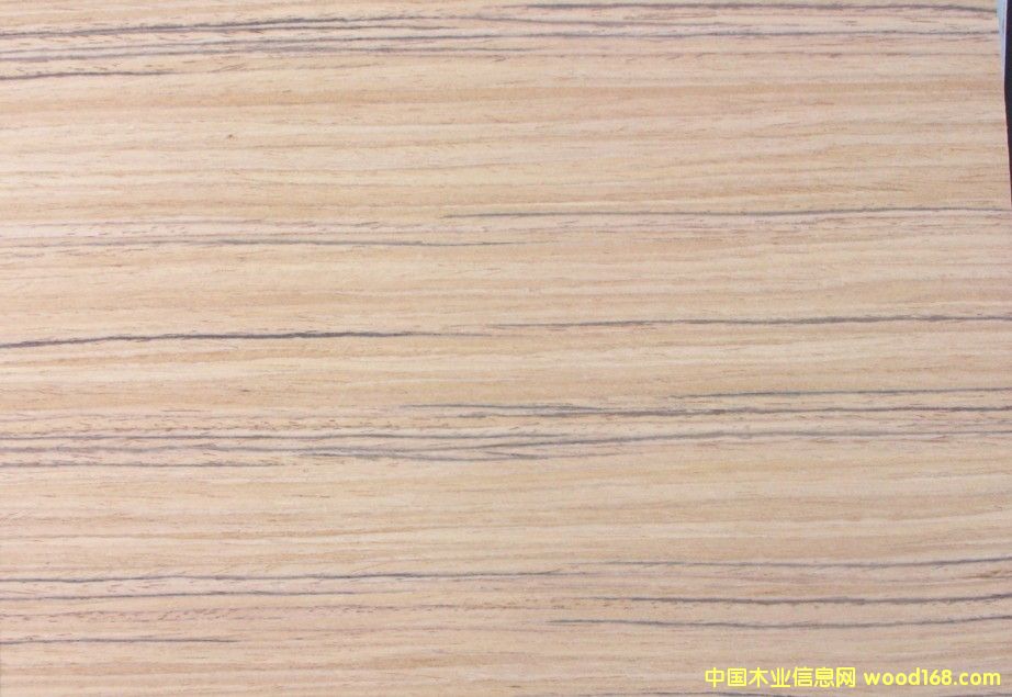 ��ľ�����Ԕ����B