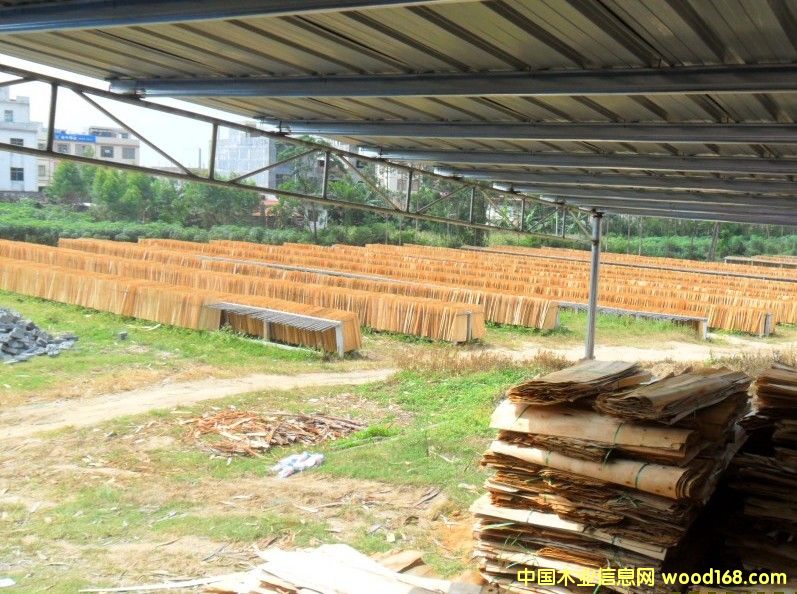 ��ľ�ΰ����