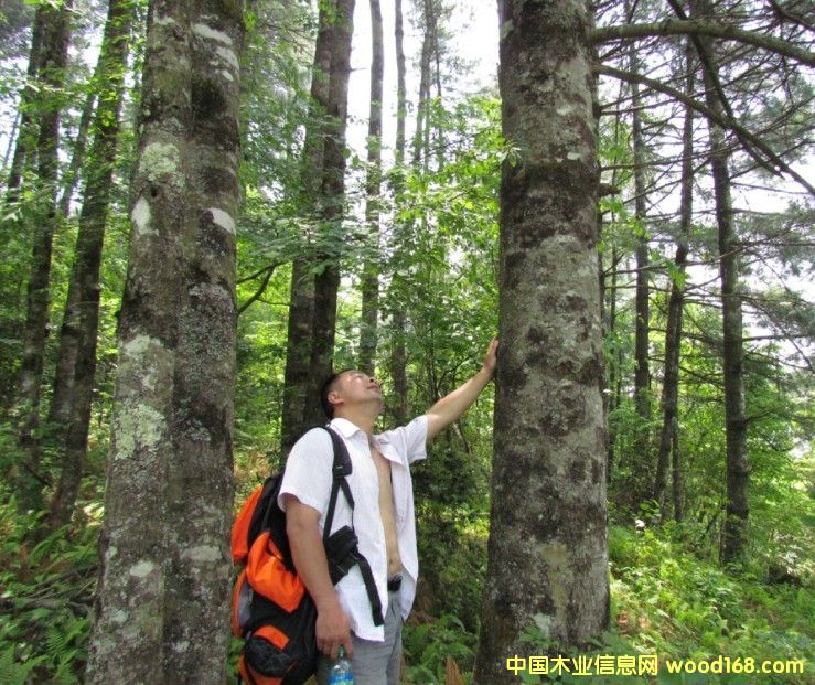 �Ĵ�ʡ�VԪ���ɘ���ˮ����11000�������D(zhu��n)׌��Ԕ��(x��)��B