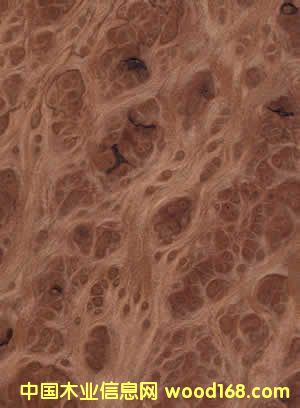 �L�~���研(�tľ����)��Ԕ��(x��)��B