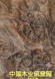 �ں��Ҙ�����Ԕ��(x��)��B