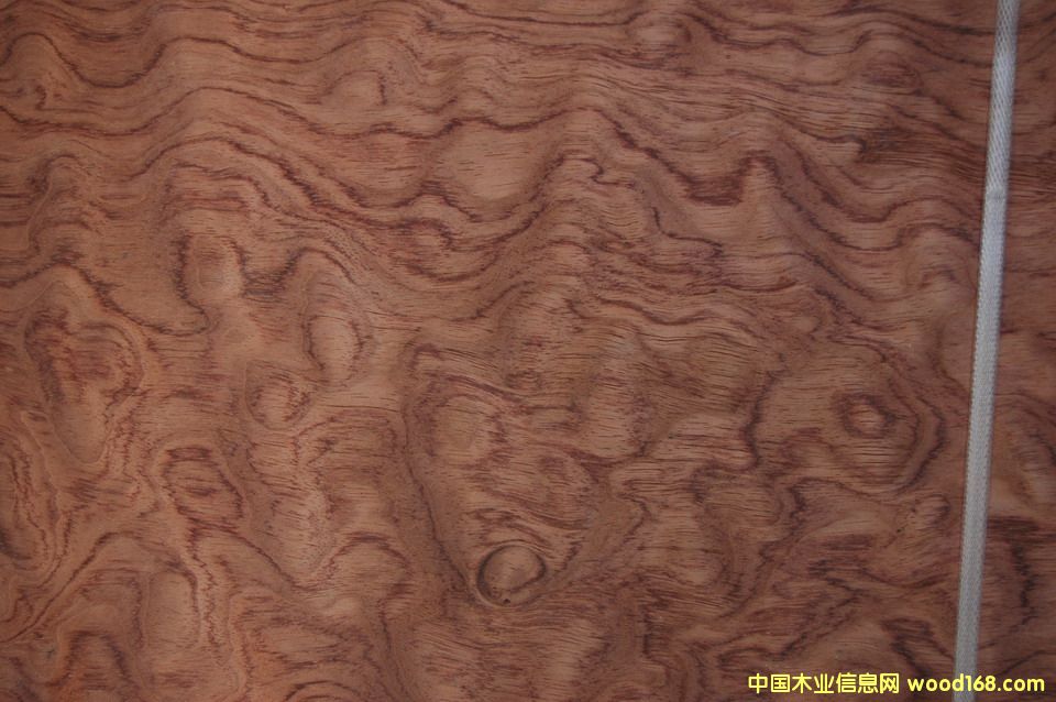 ����y��Ԕ��(x��)��B