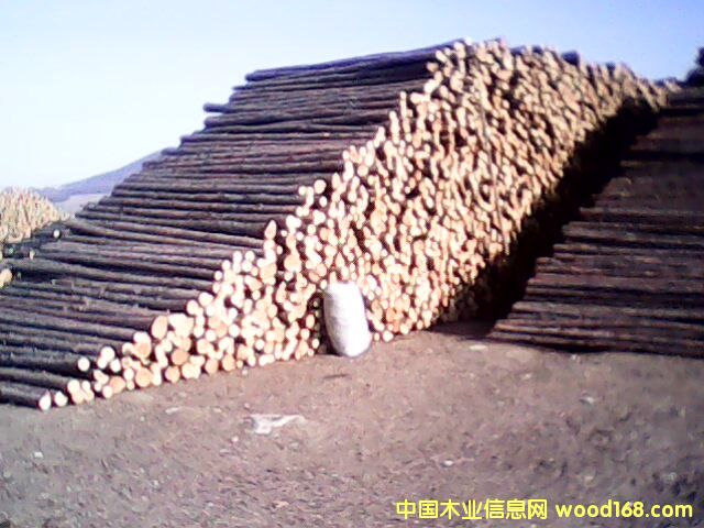 �t�� ���~�� ������ ܛӲ�s�� 