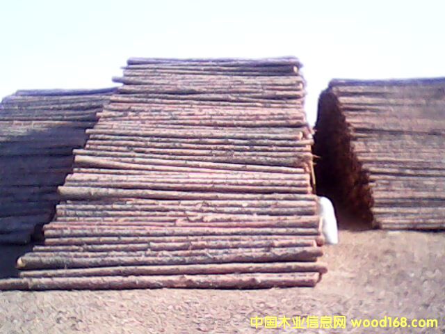 �t�� ���~�� ������ ܛӲ�s�� 