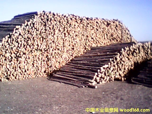 �t�� ���~�� ������ ܛӲ�s�� 