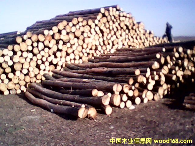 �t�� ���~�� ������ ܛӲ�s�� 