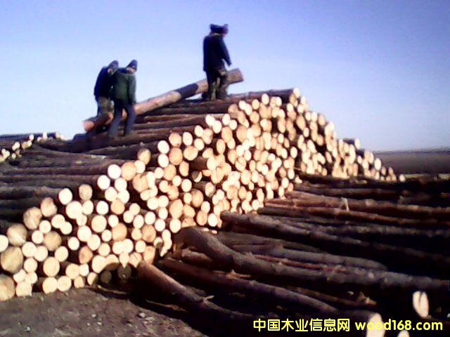 �t�� ���~�� ������ ܛӲ�s�� 