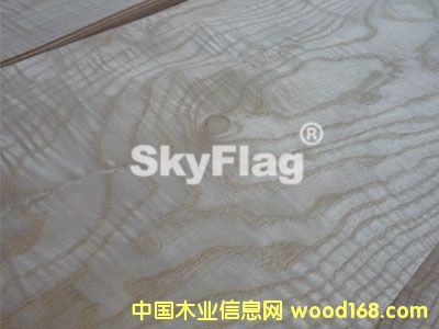 ��Ԫ��ӰAAAA