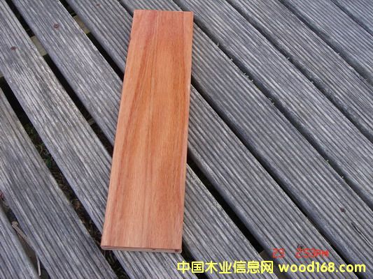 100%FSC�J�C Karri Wood���t��