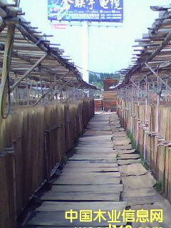 ��ľ��ȼ�а��Ԕ��(x��)��B