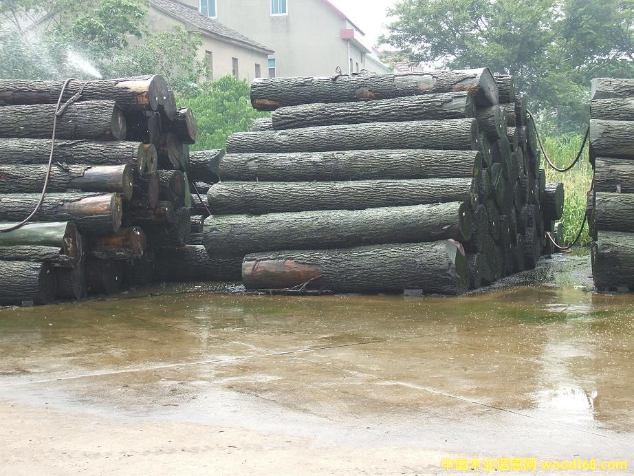 �����ں��ұ���ԭľ�ӹ���