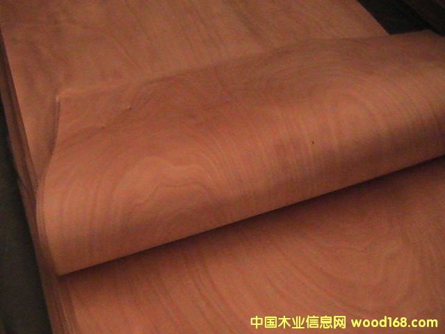  ��(y��u)�|(zh��)�W����ľƤ��ȫһľ�I(y��)