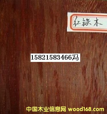 �t�Fľ��Ԕ��(x��)��B