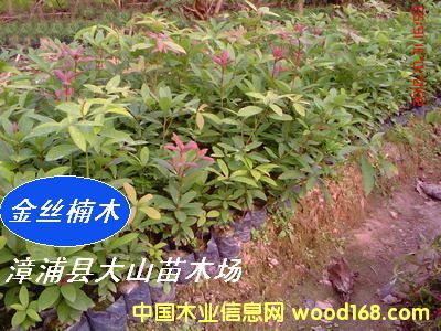 [��] ���ľN�磨�}����E骡�С�~���������ٻ�骡��t骣�