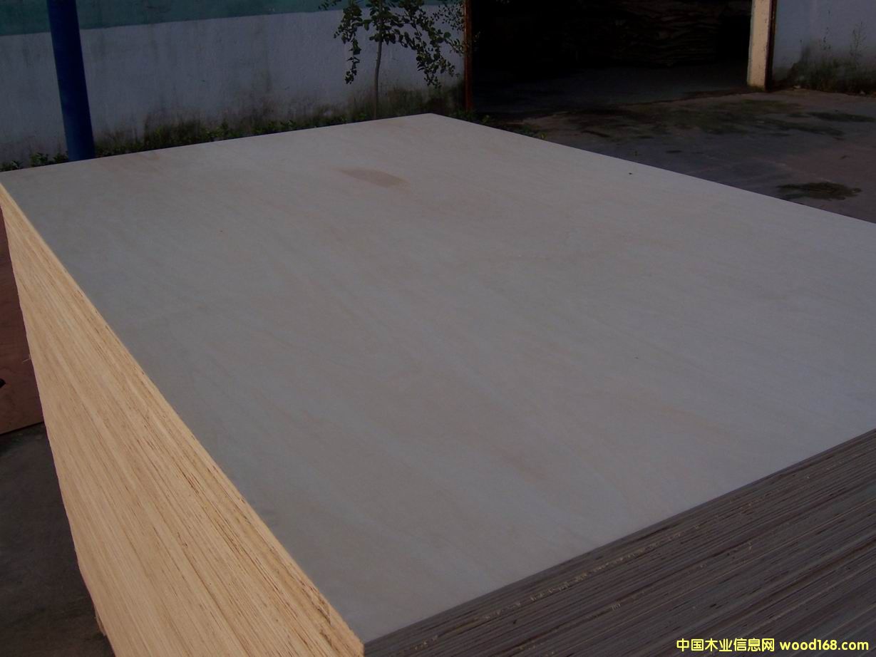 ��ľ�z�ϰ��Ԕ��(x��)��B