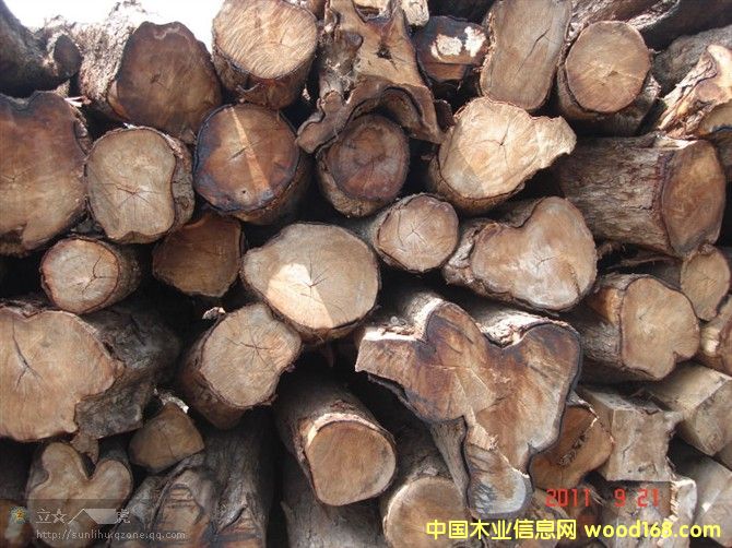 ������ԭľ��Ԕ��(x��)��B