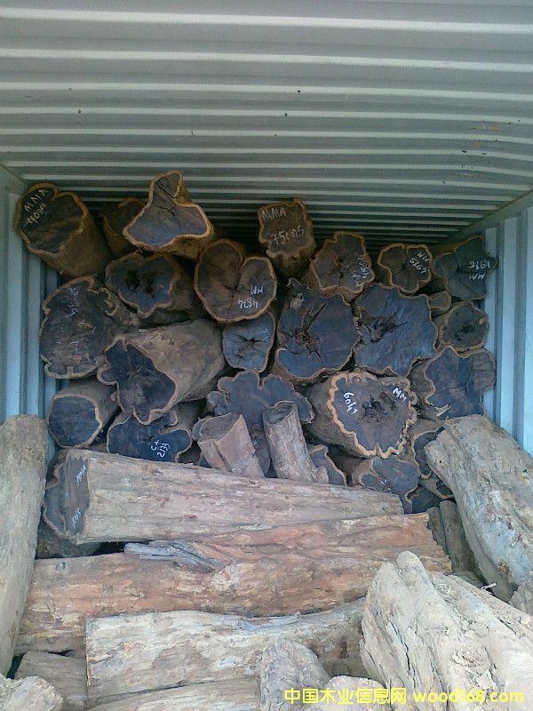 ��ľ��Ԕ��(x��)��B