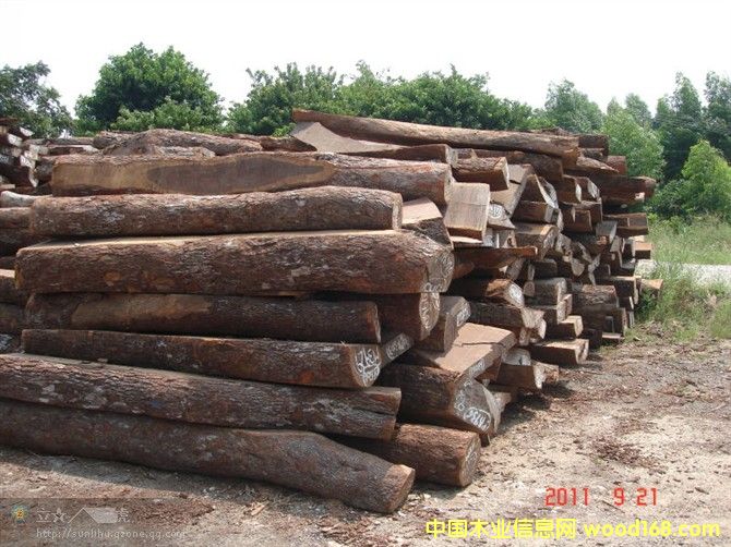 Ƥ�Ұ�ĵ�Ԕ��(x��)��B