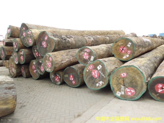 ������Ԕ��(x��)��B