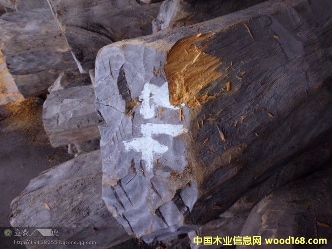 �S̴��Ԕ��(x��)��B