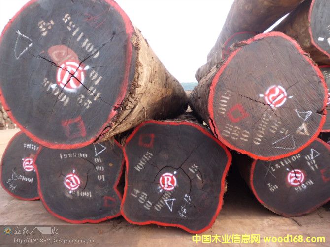 �t����ԭľ��Ԕ��(x��)��B