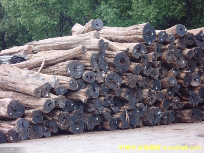 ��ľ��Ԕ��(x��)��B