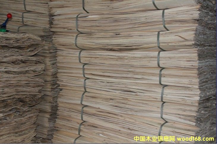 �b�ް��×�ľ�ΰ�