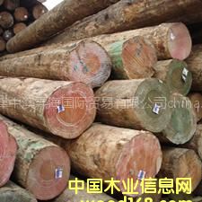 ���l(f��)��(y��u)�|(zh��)�M�ڟo��(ji��)��ݗ����ԭľ